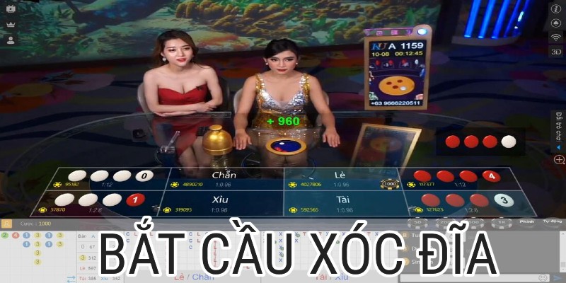 Thông tin cơ bản về hình thức bắt cầu xóc đĩa quen thuộc