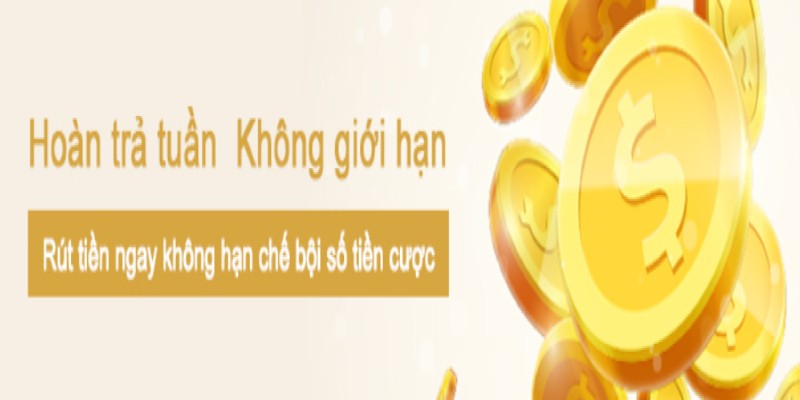 Siêu hoàn trả nhận hàng tuần