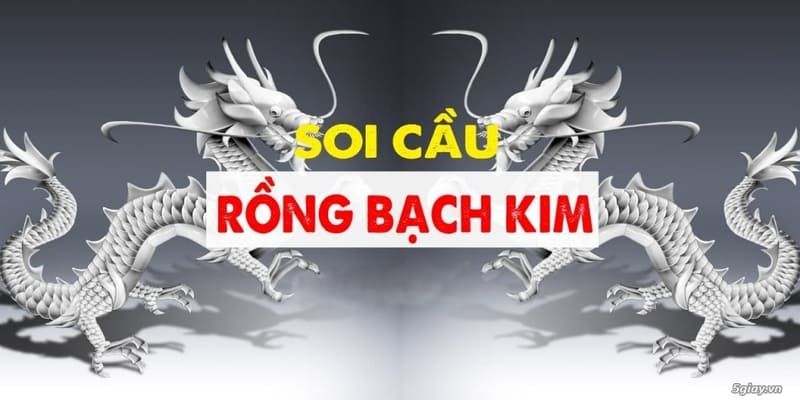 Sơ lược về cách soi cầu rồng bạch kim hiệu quả